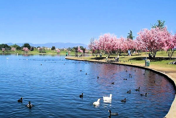 Lake Balboa